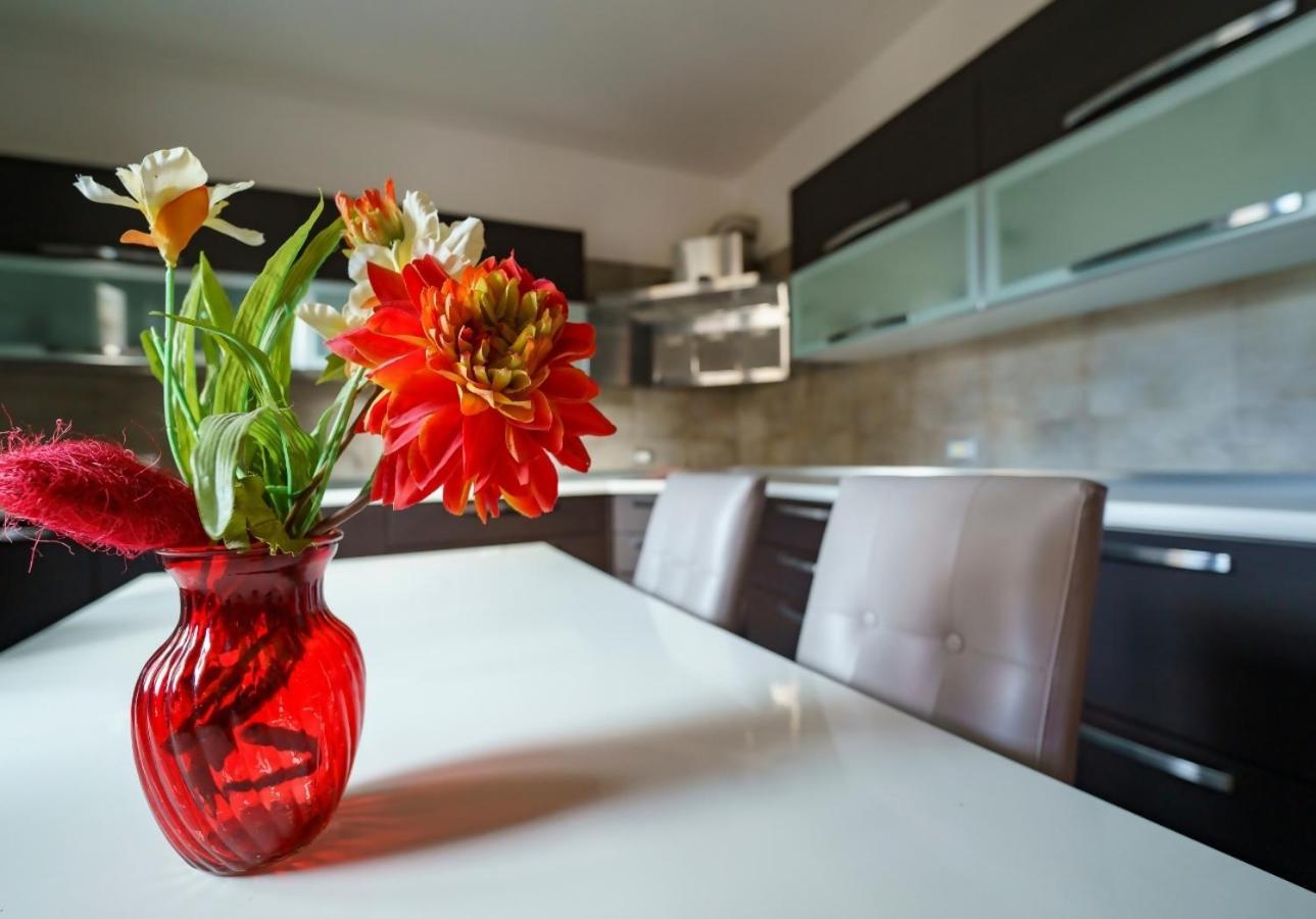 Apartament Guest Friends Trapani Pokój zdjęcie